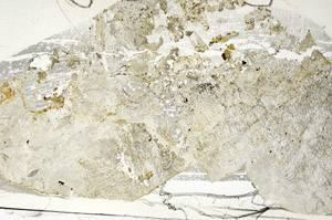 Plane Polarized, S87616