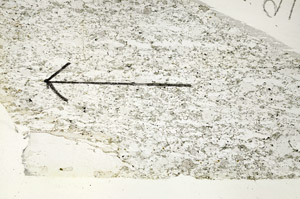 Plane Polarized, S87619