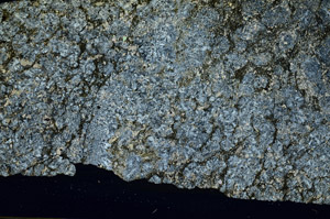Cross Polarized, S87620