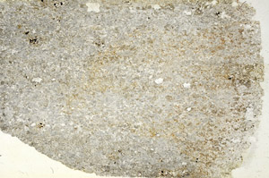 Plane Polarized, S87621