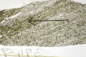 Plane Polarized, S87623