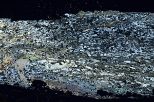 Cross Polarized, S87626