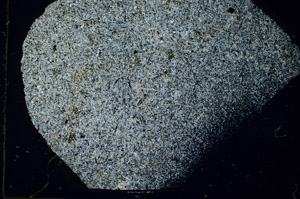 Cross Polarized, S87627