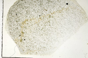 Plane Polarized, S87627