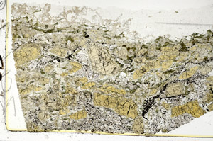 Plane Polarized, S87630