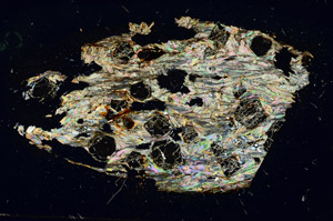 Cross Polarized, S87633