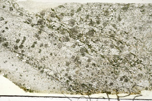 Plane Polarized, S87635