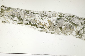 Plane Polarized, S87637