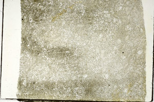 Plane Polarized, S87638