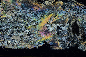 Cross Polarized, S87641