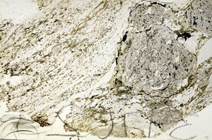 Plane Polarized, S87642