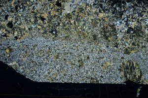 Cross Polarized, S87643