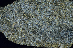 Cross Polarized, S87654