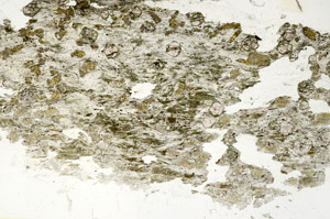 Plane Polarized, S87659