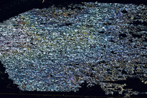 Cross Polarized, S87662