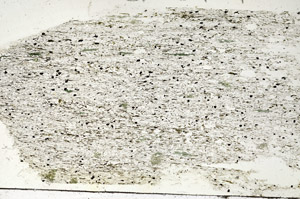 Plane Polarized, S87662