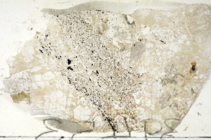 Plane Polarized, S87668