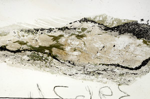 Plane Polarized, S87671