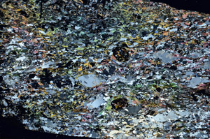 Cross Polarized, S87675