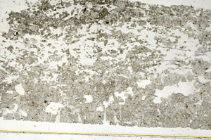 Plane Polarized, S87680