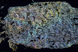 Cross Polarized, S87696