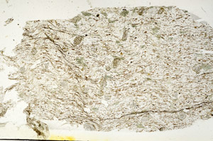 Plane Polarized, S87696