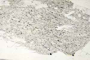 Plane Polarized, S87697