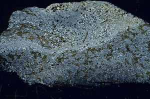 Cross Polarized, S87698