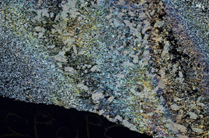 Cross Polarized, S87704