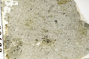 Plane Polarized, S87707