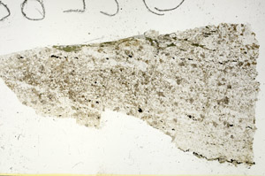 Plane Polarized, S87713