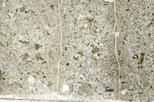 Plane Polarized, S87715