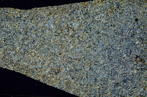 Cross Polarized, S87719