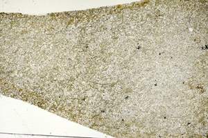 Plane Polarized, S87719