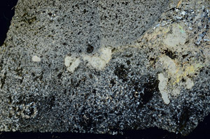 Cross Polarized, S87723
