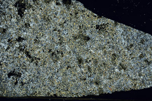 Cross Polarized, S87724