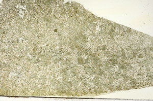 Plane Polarized, S87724