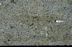 Cross Polarized, S87725