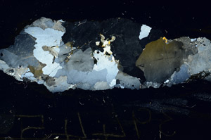 Cross Polarized, S87726