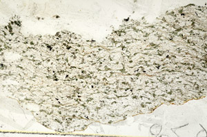Plane Polarized, S87727