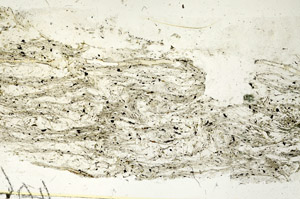 Plane Polarized, S87728
