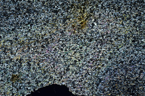 Cross Polarized, S87734