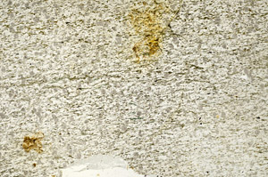 Plane Polarized, S87734