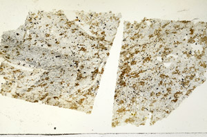 Plane Polarized, S87742