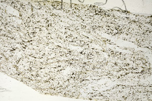 Plane Polarized, S87746