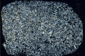 Cross Polarized, S87751