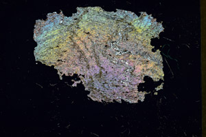 Cross Polarized, S87752