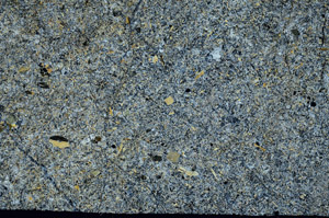 Cross Polarized, S87753