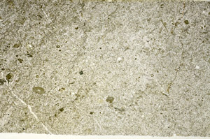 Plane Polarized, S87753