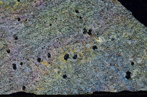 Cross Polarized, S87759